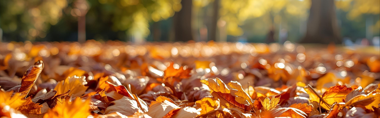 Hojas de árboles verdes formando un fondo natural